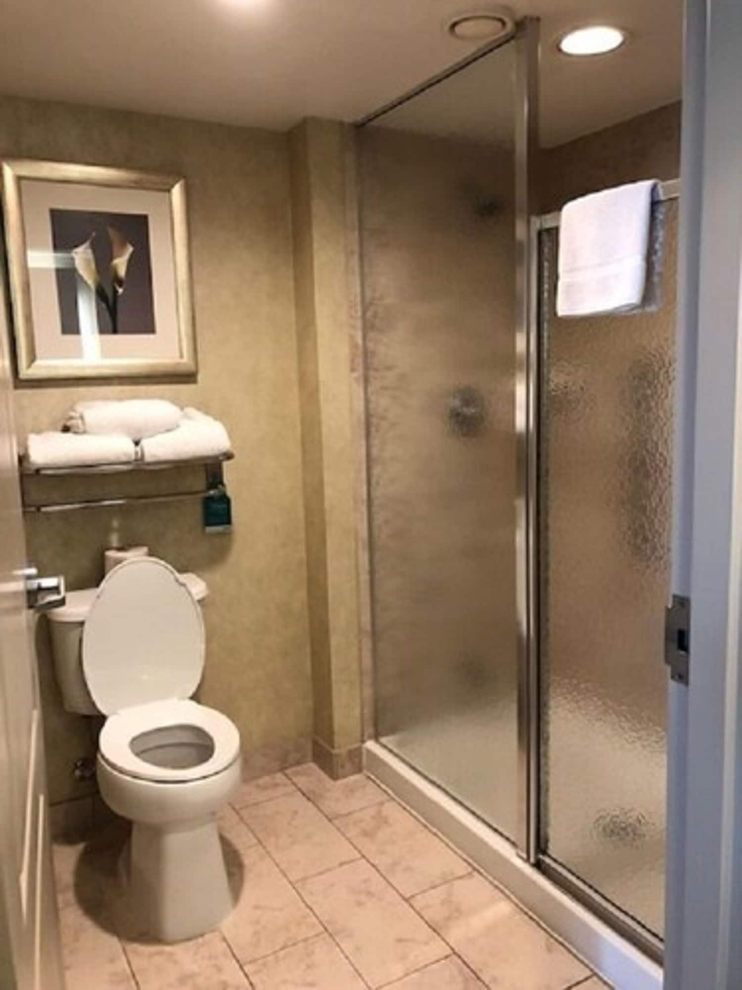 Homewood By Hilton Toronto-markham Hotel 3*